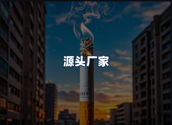 专业团队办公环境